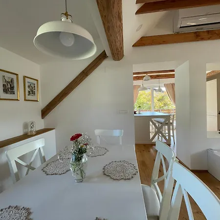 Apartma Jana شقة *